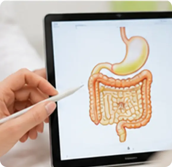 gastrointestinal